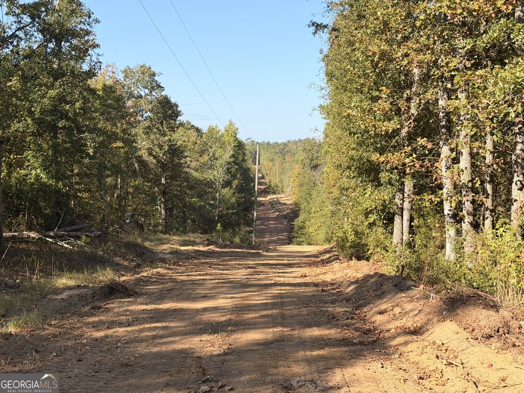 Picture 8
