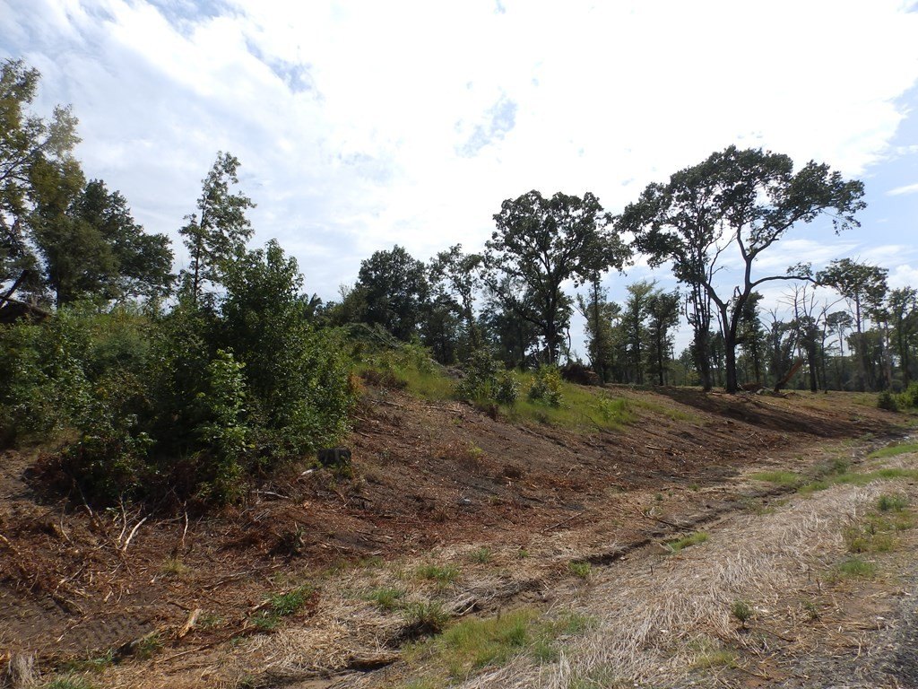 Picture 32