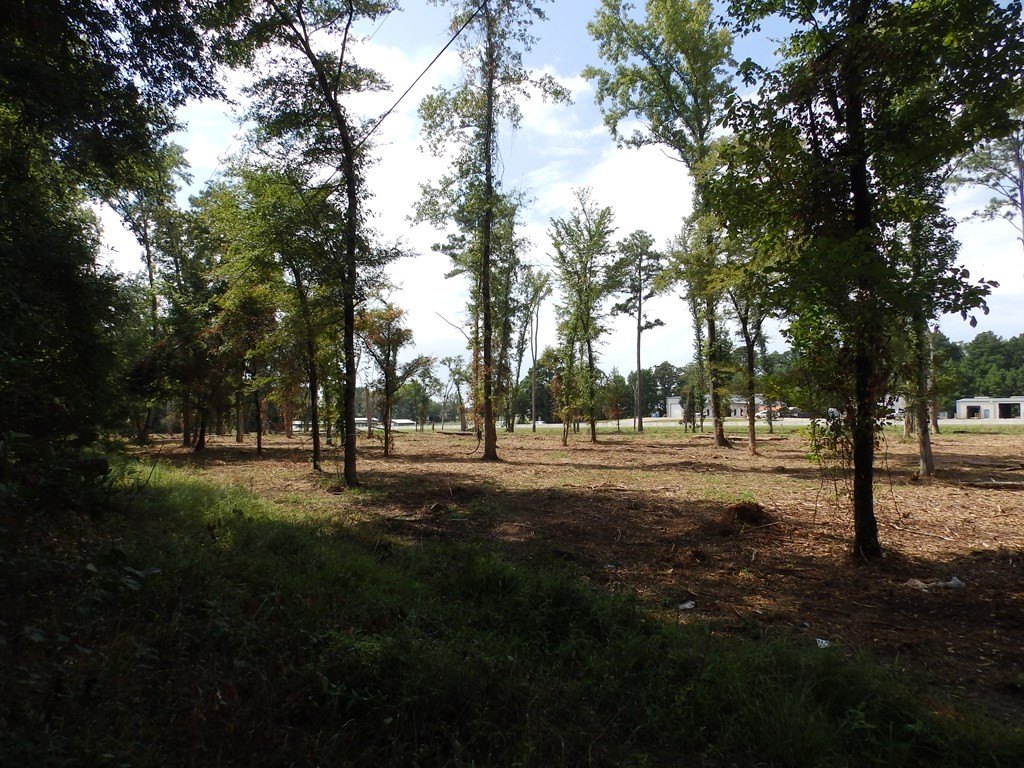 Picture 18