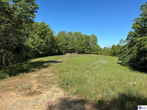 Recreational Hunting Land