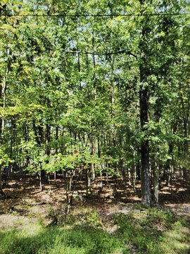 Residential Land in East Stroudsburg