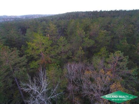Timberland for Rural Home Sites