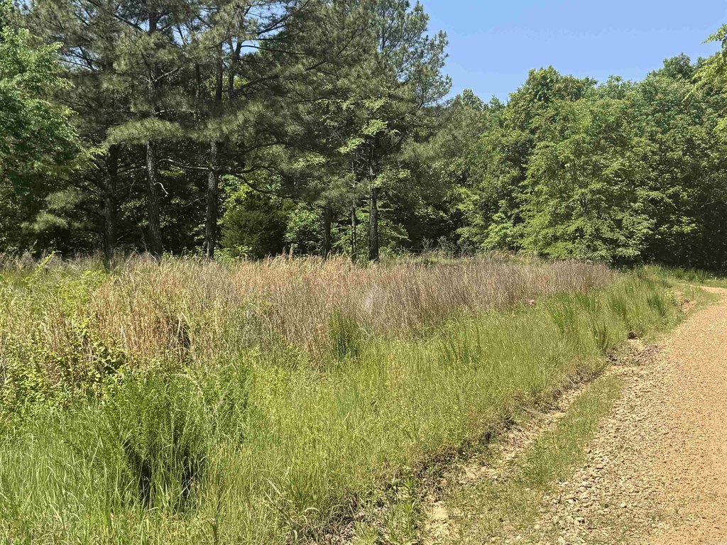 Picture 18