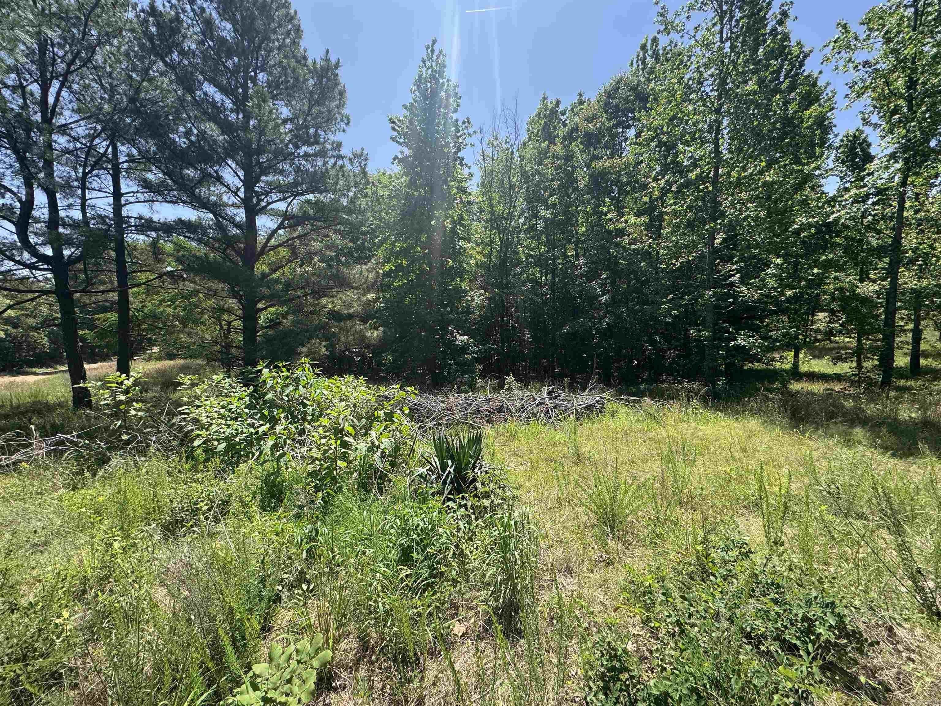 Piggott, AR Land with Pond