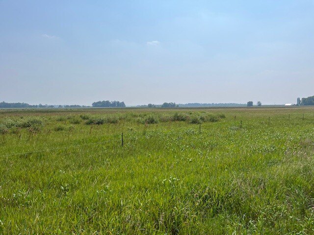 Picture 13