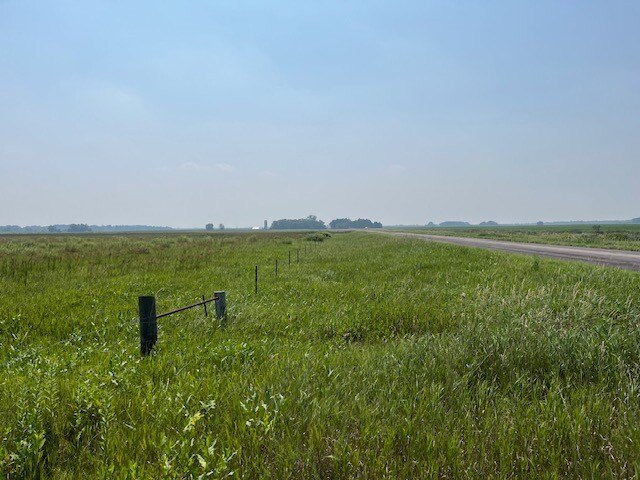 Picture 22