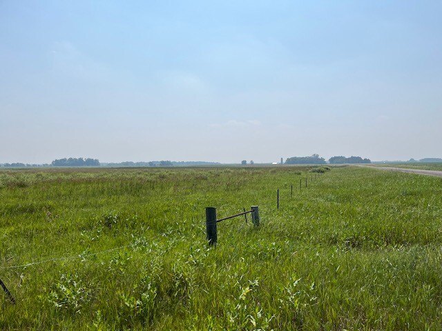 Picture 20