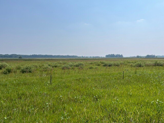 Picture 11