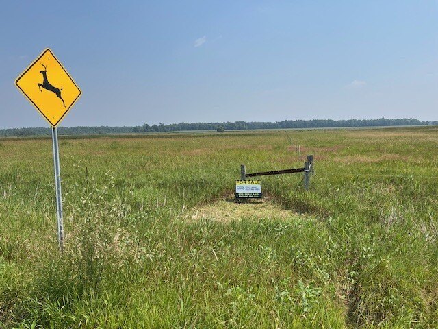 Picture 27