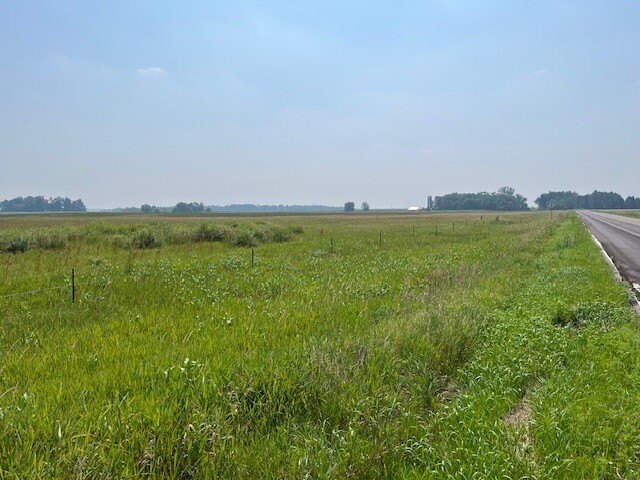 Picture 14