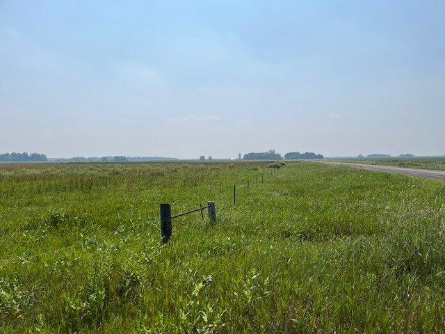 Picture 21