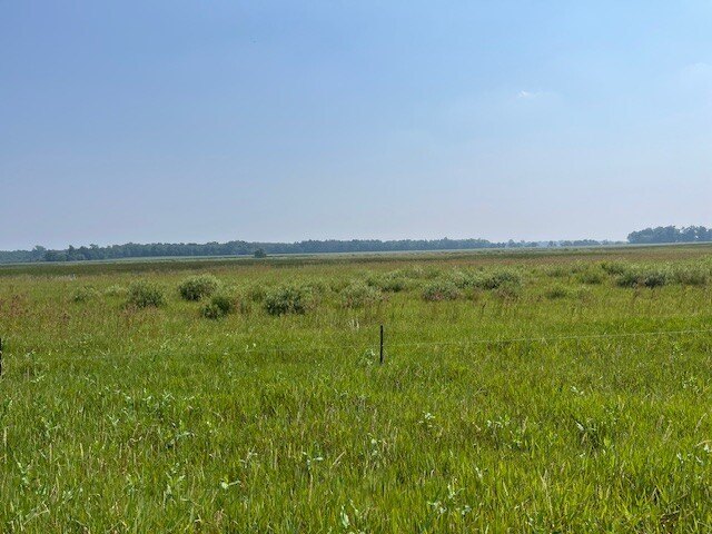 Picture 10