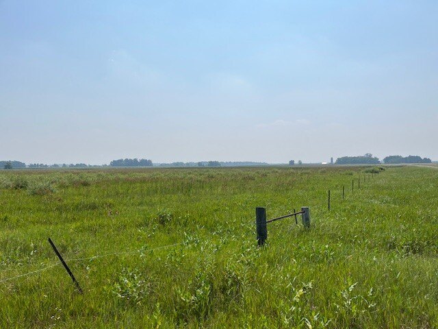 Picture 19