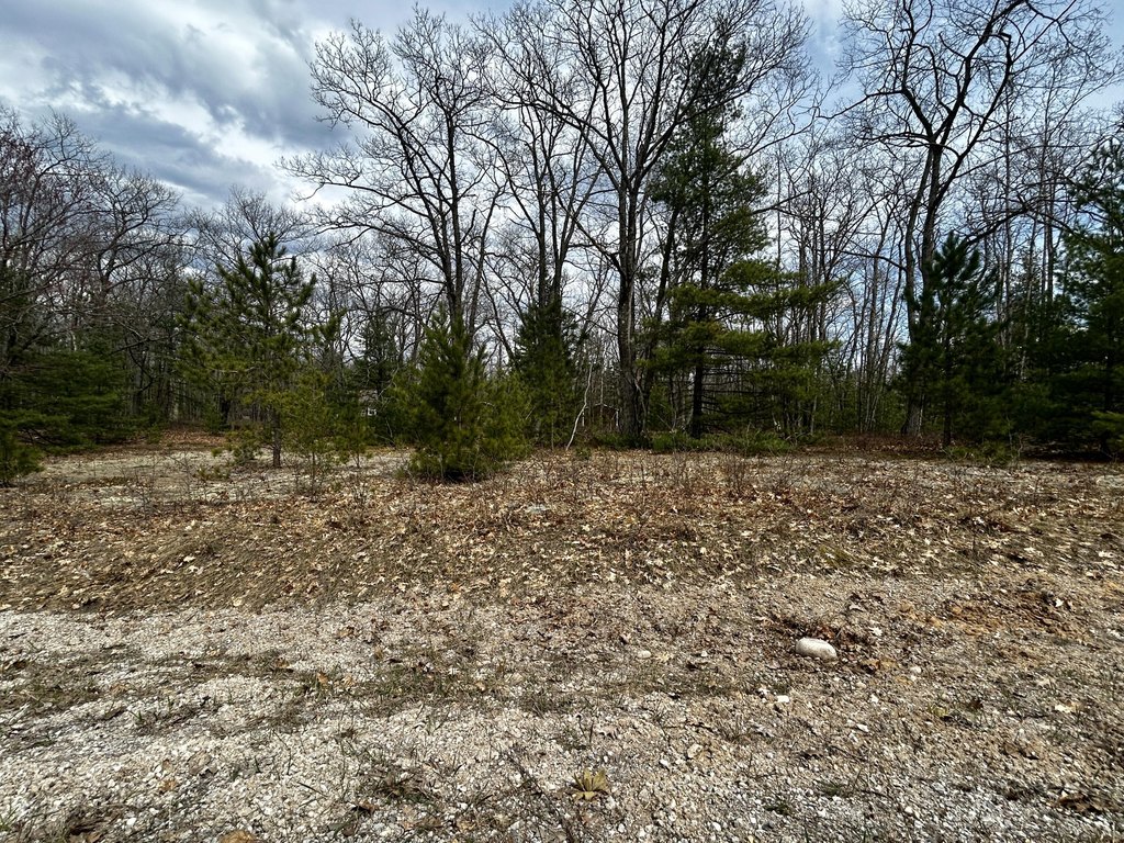 Picture 31