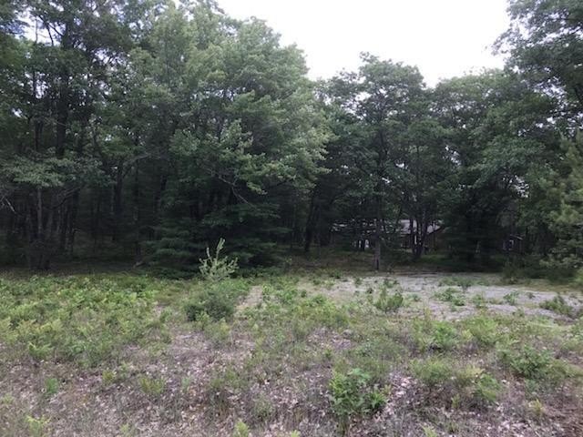 Picture 19