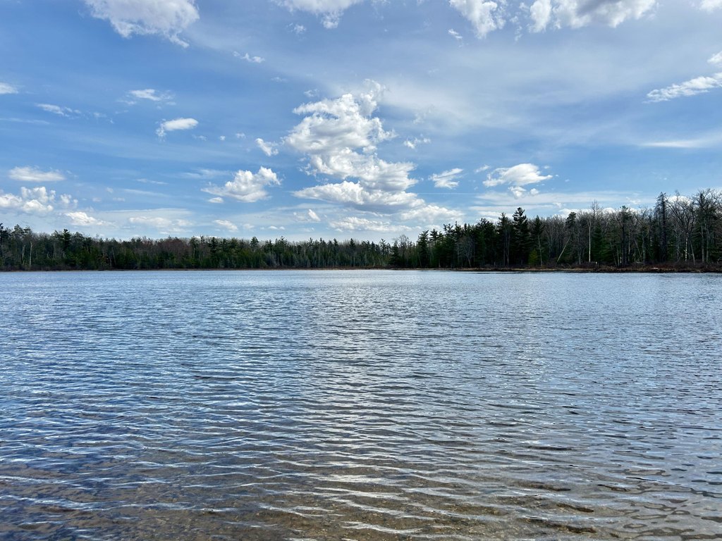 Picture 42