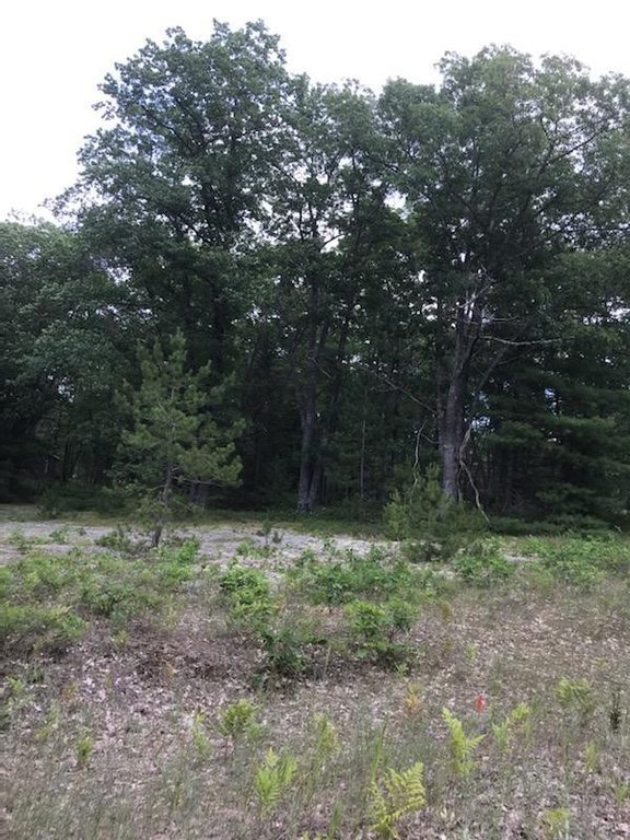 Picture 23