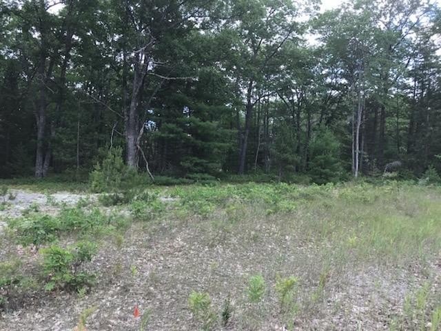 Picture 21