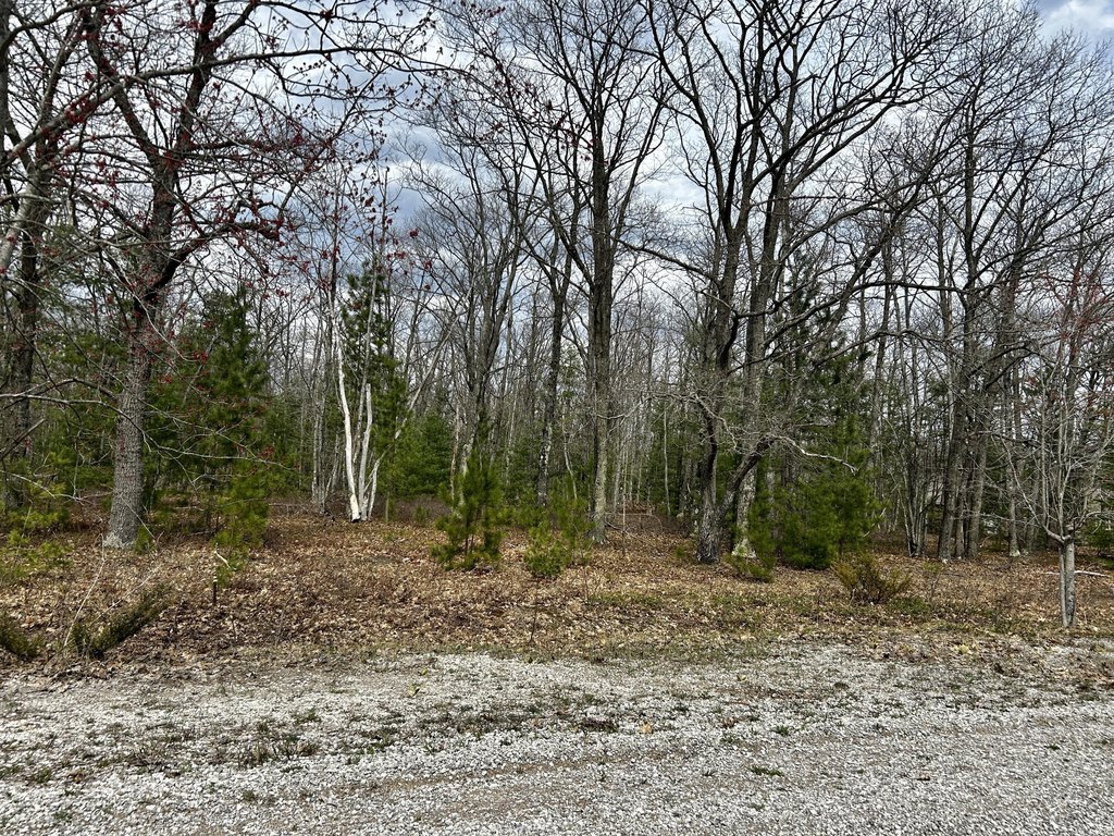 Picture 35