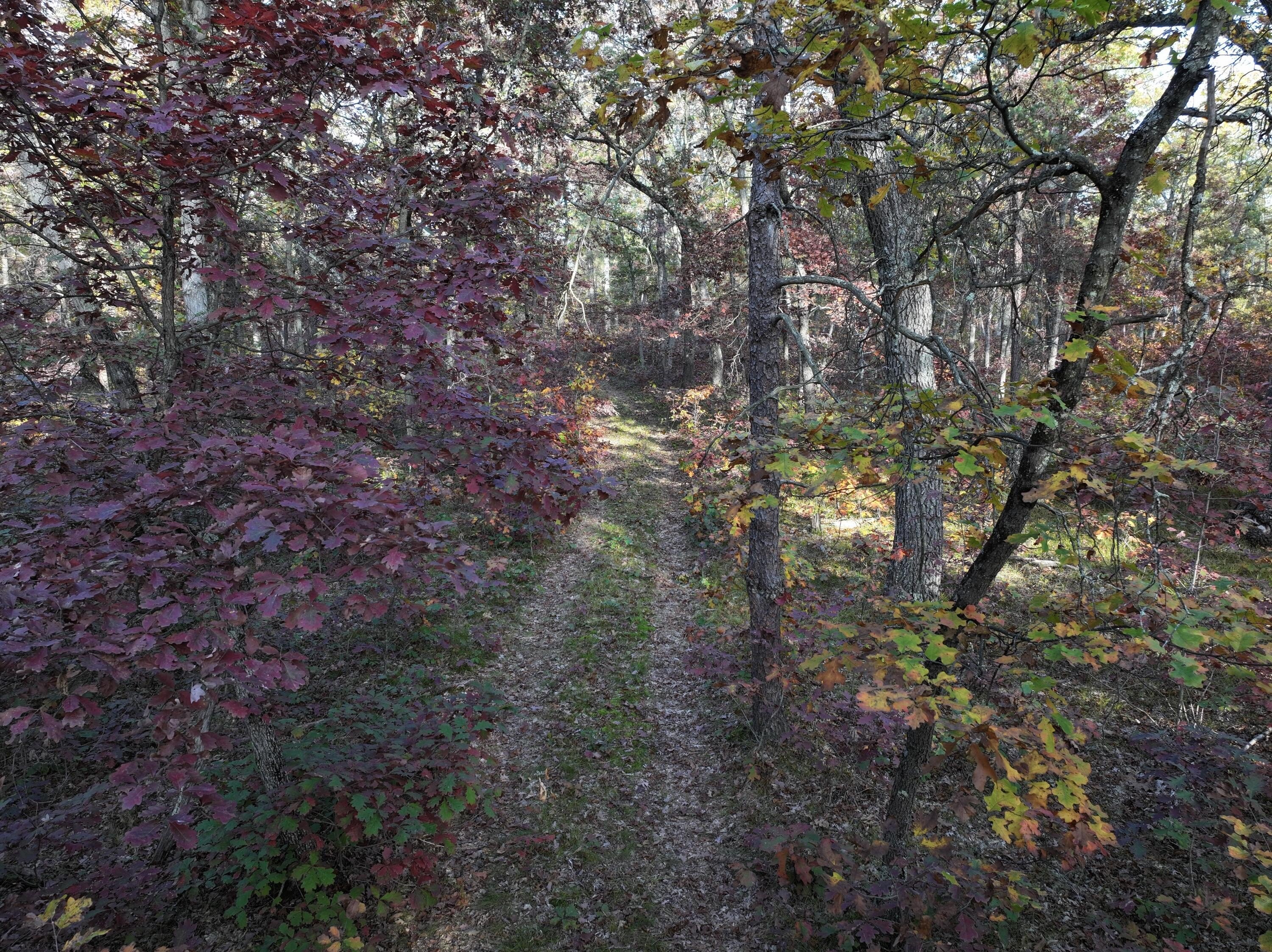 Free Soil 10-Acre Land