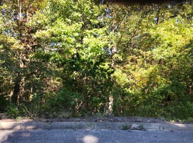 Land For Sale, Hollister, MO