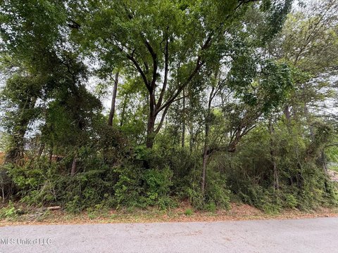 Residential Land in Diamondhead, MS