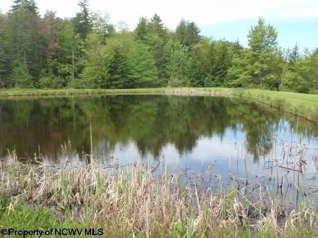 Picture 3
