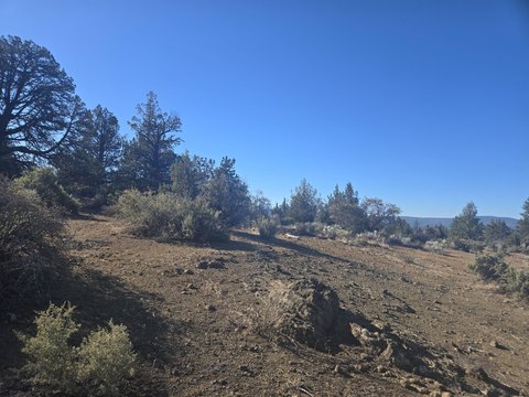 Land, Sprague River, OR