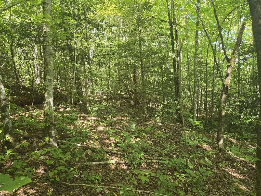 Picture 14