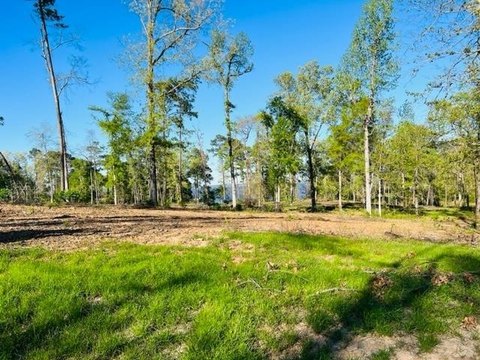 Interior Lot with Lake Views