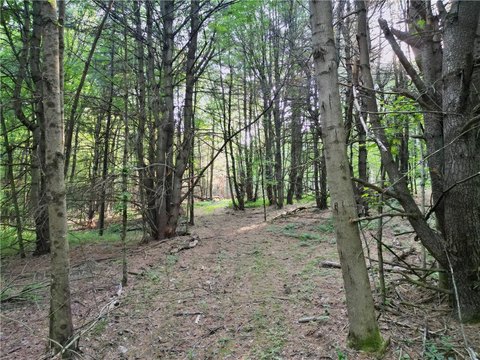 Land, Horseheads, NY