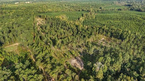 Land Near Waverly Hall, Georgia