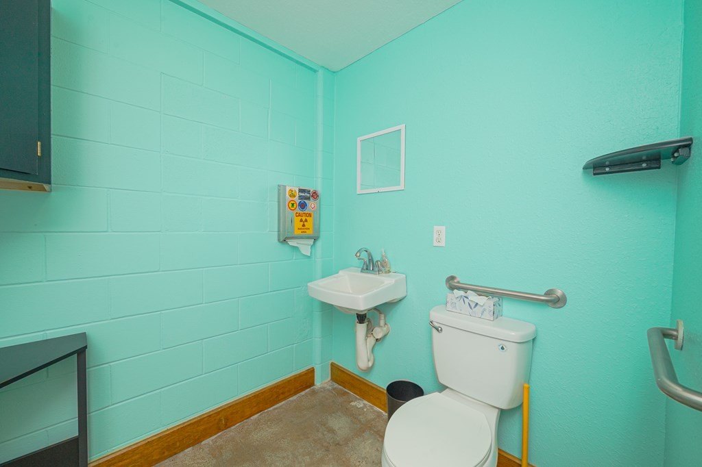 Picture 8