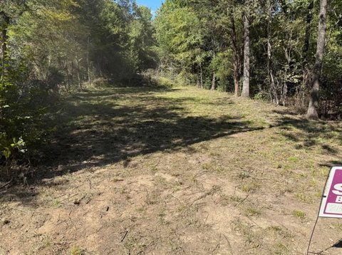 Residential Lot in Mabank, TX