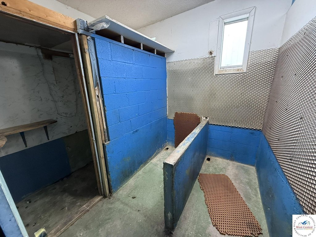 Picture 27