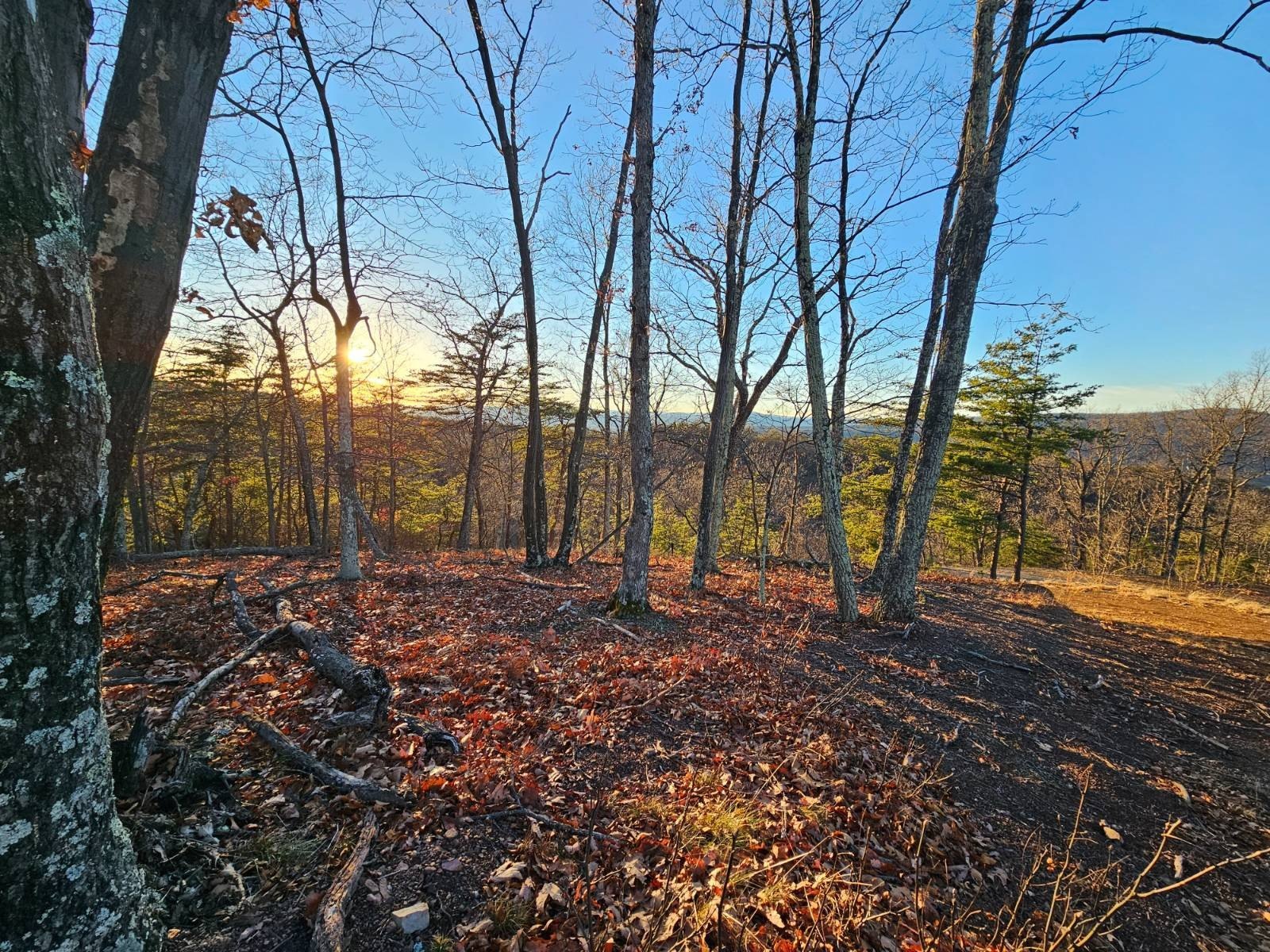 20+ Acre Recreational Land