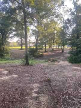 Residential Land in Headland, AL