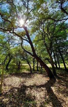Lake Brownwood RV Lots