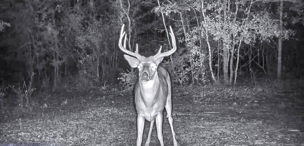 Picture 9