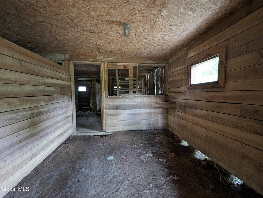 Picture 11
