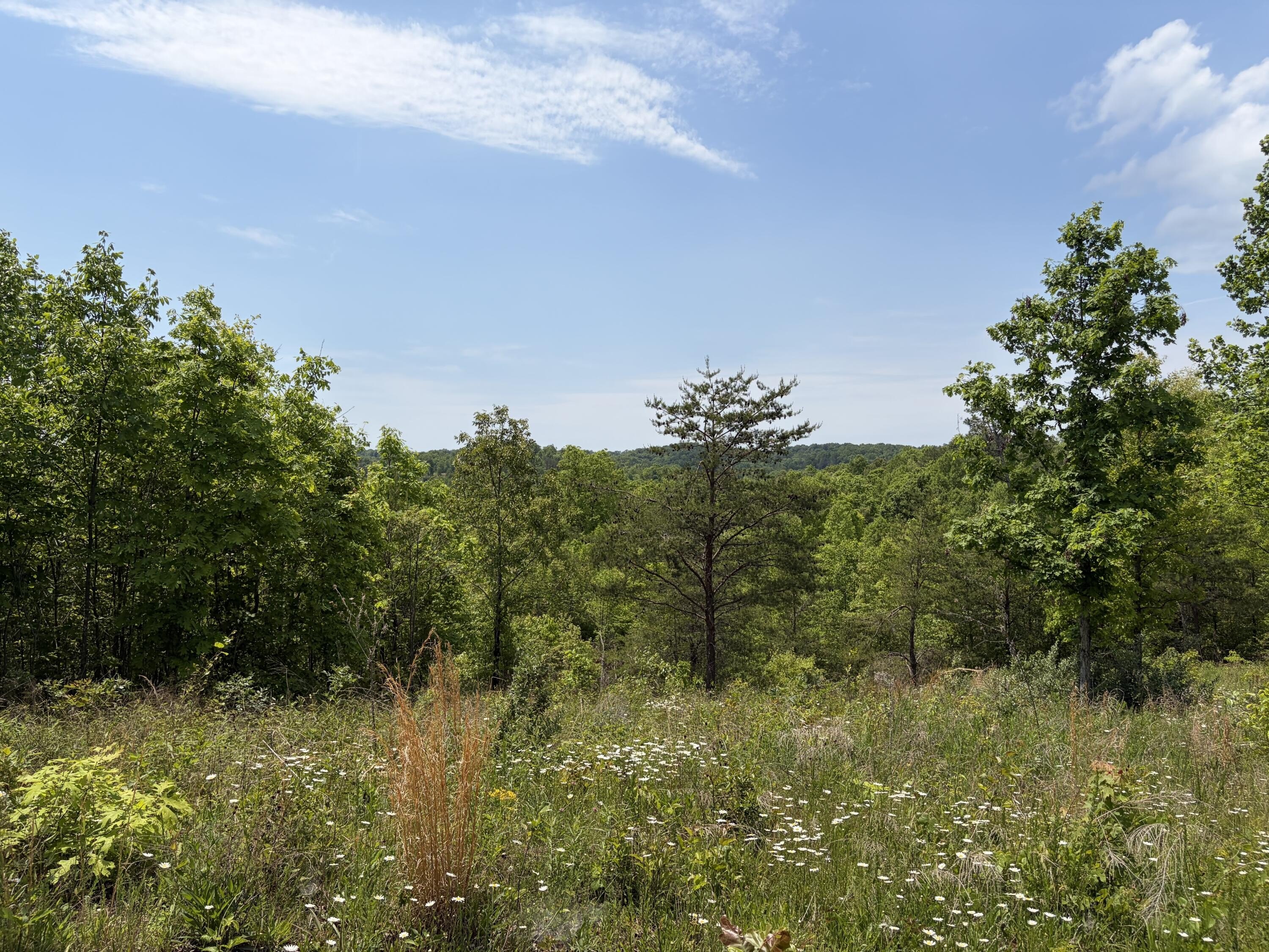 7.86 Acres in Whitley City