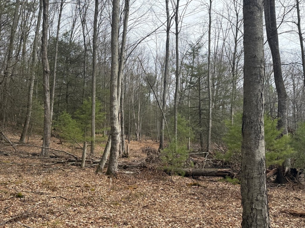 Picture 47