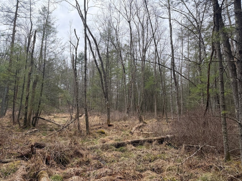 Picture 28