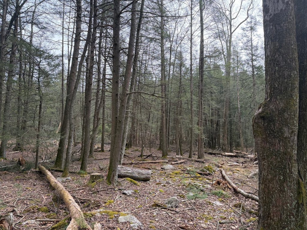Picture 41