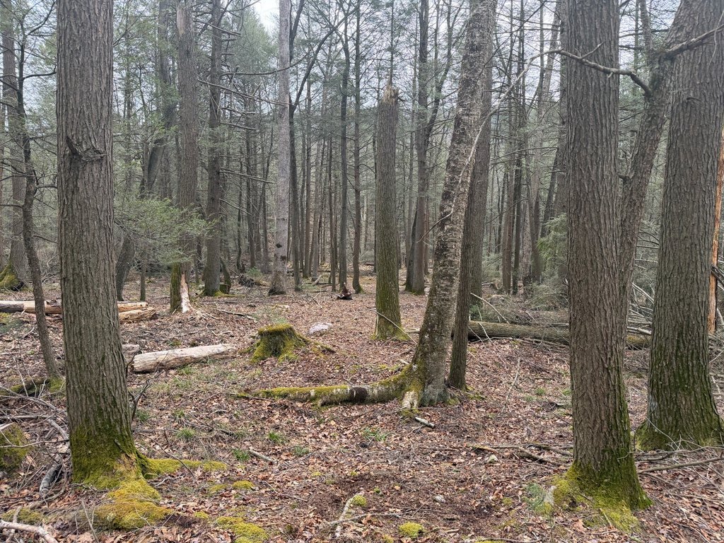 Picture 38