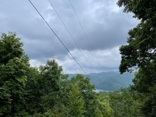 Land with Lake View