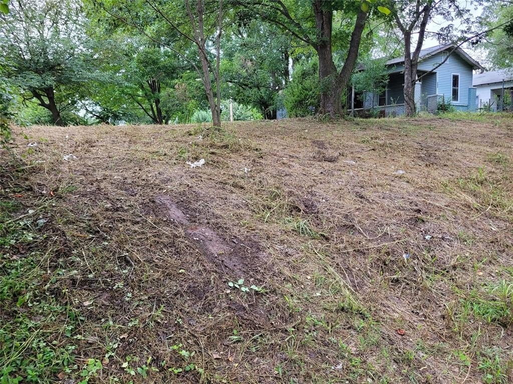 Picture 4