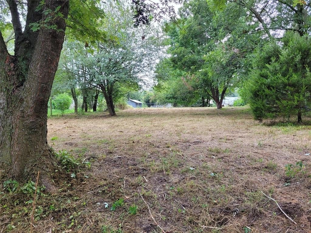 Picture 5