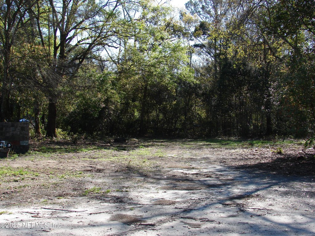 Picture 8