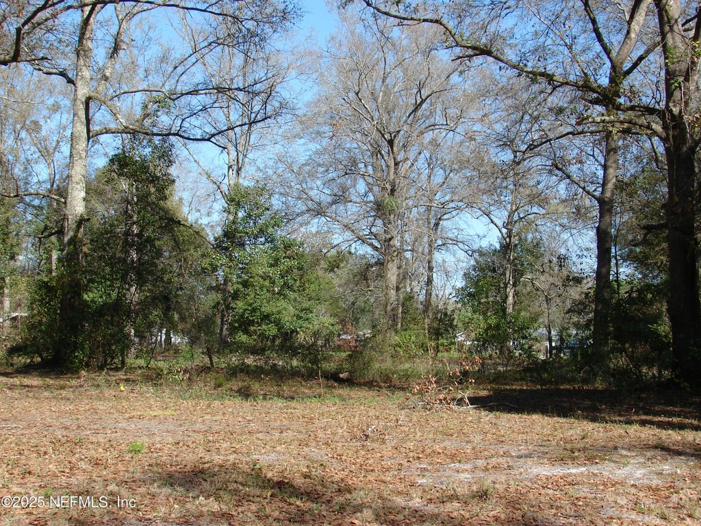 Picture 20